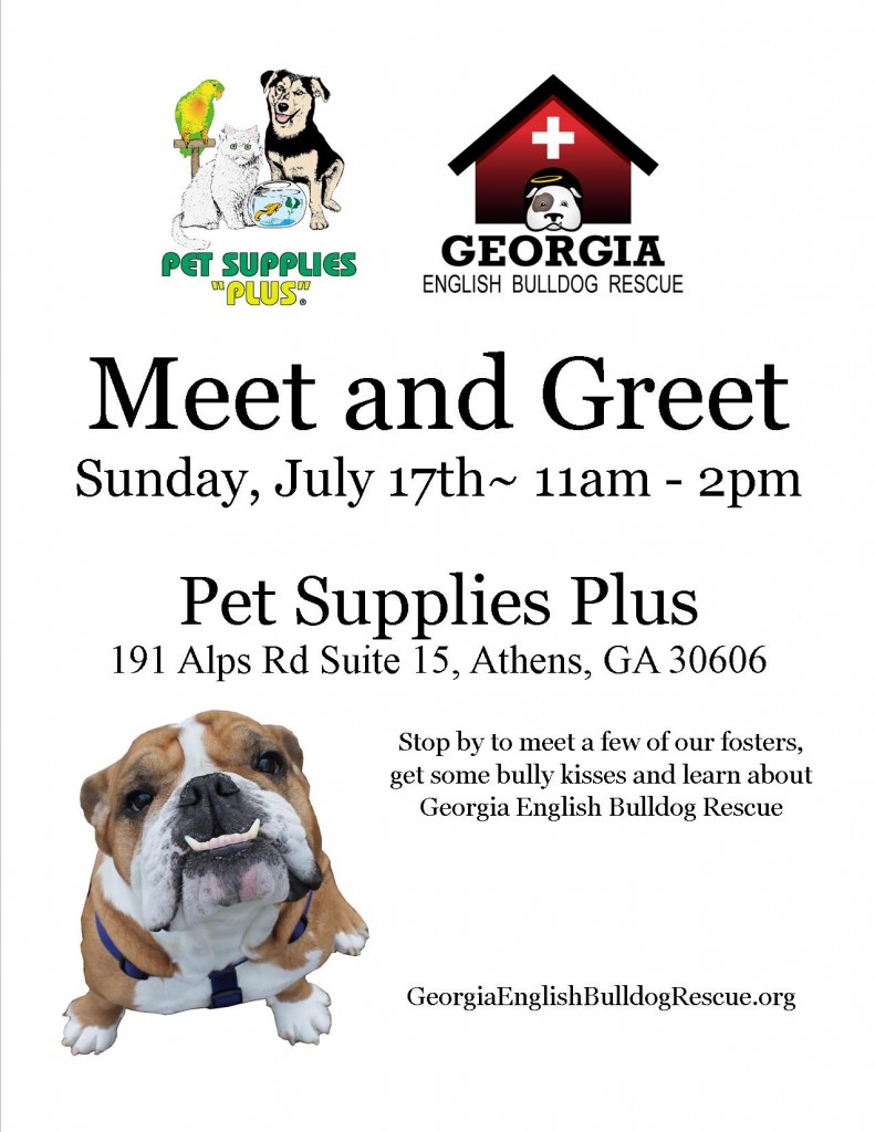 Pet Supplies Plus