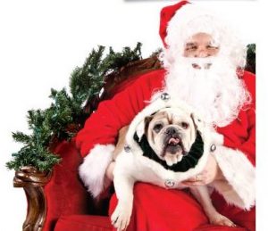 607-santa_paws_2014-copy