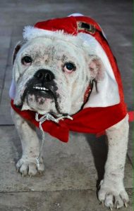 12376128_10153507583868645_6312324005339951795_n