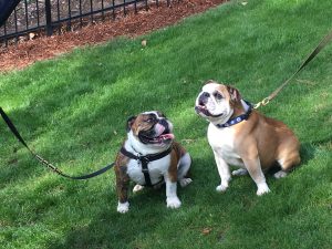 6fc8e4e9-10c8-4e94-ae37-abd555125458