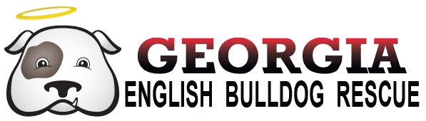 Georgia English Bulldog Rescue logo