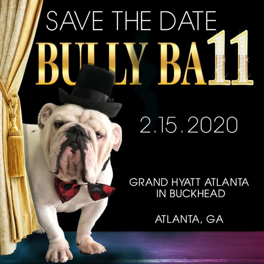 bully ball for dogs