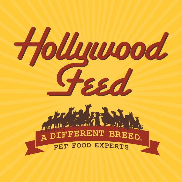 hollywood-feed