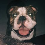 Processed With Darkroom